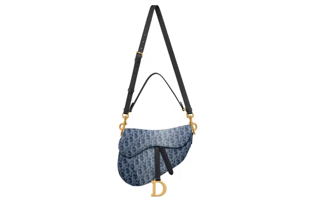 DIOR Saddle D