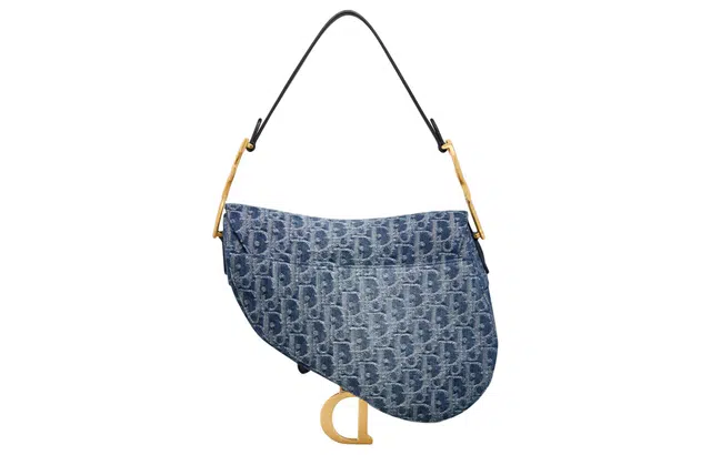 DIOR Saddle D