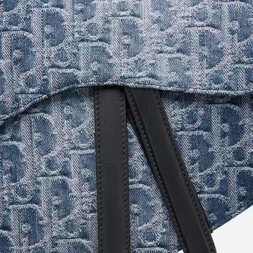 DIOR Saddle D