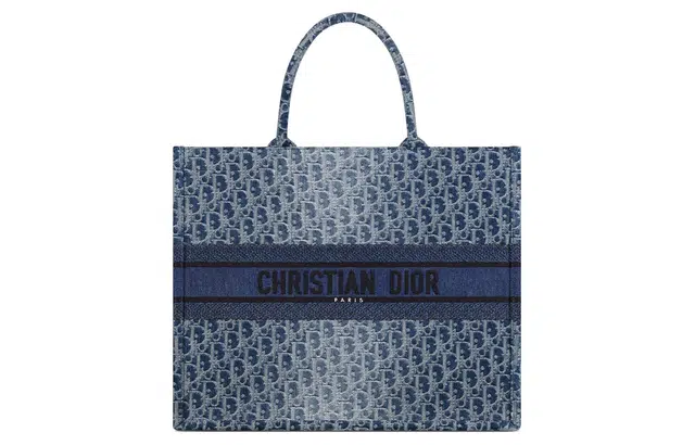 DIOR BookToteOBLIQUE Tote