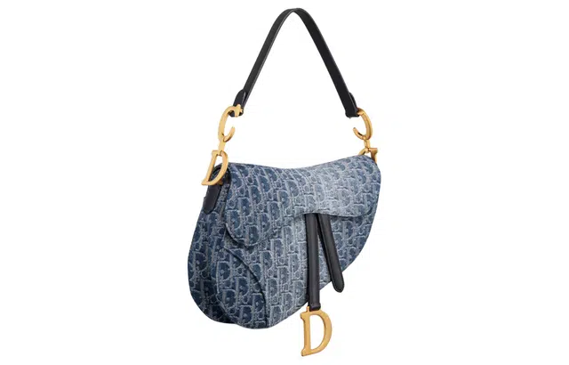 DIOR Saddle D