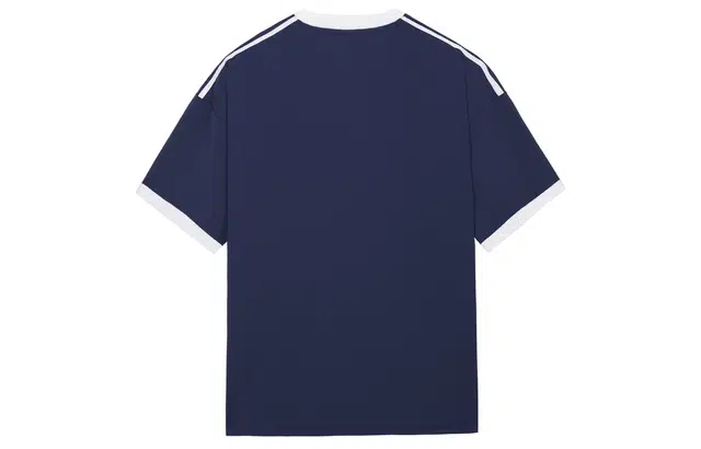ICONS Lab T