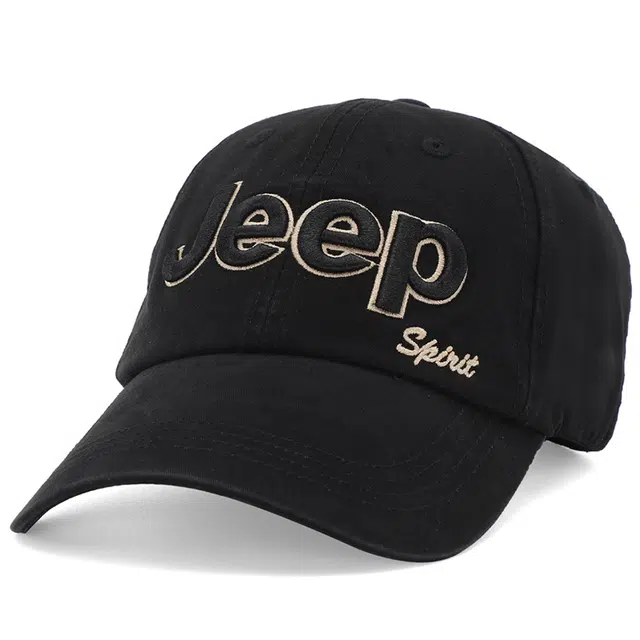 JEEP SPIRIT ins