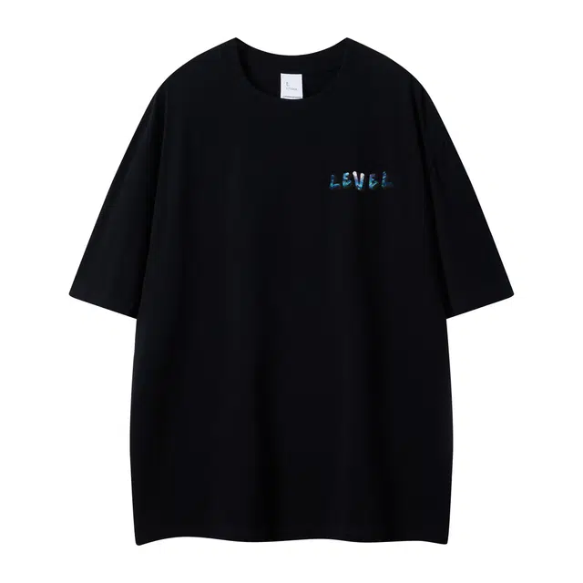LEVEL T