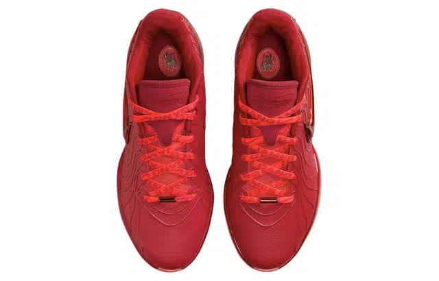 Nike Lebron 21 James Gang