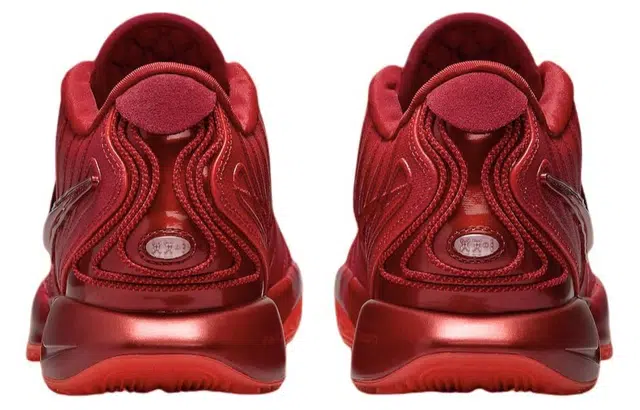 Nike Lebron 21 James Gang