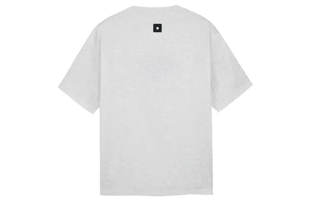 ICONS Lab T