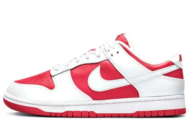 Nike Dunk AWG 520