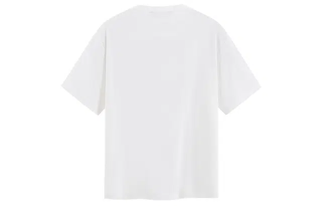 ICONS Lab T