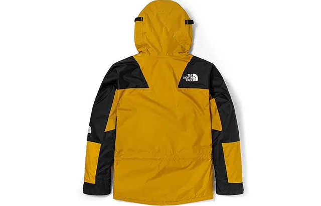 THE NORTH FACE FW21 1994 Icon