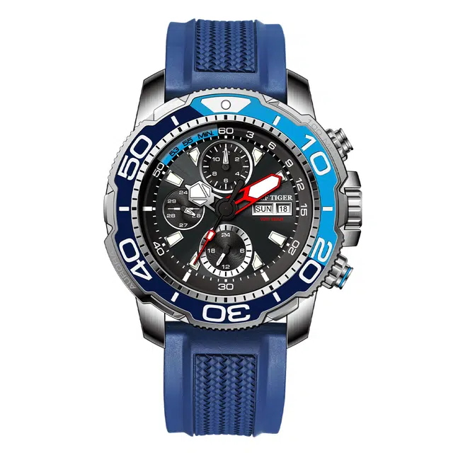REEF TIGER RGA3053-