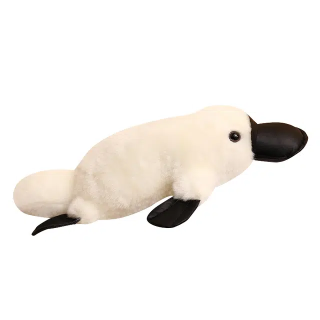 35cm45cm