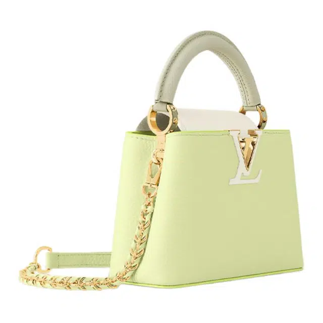 LOUIS VUITTON Capucines Taurillon