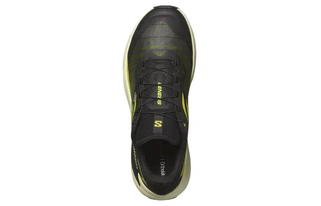 SALOMON Genesis