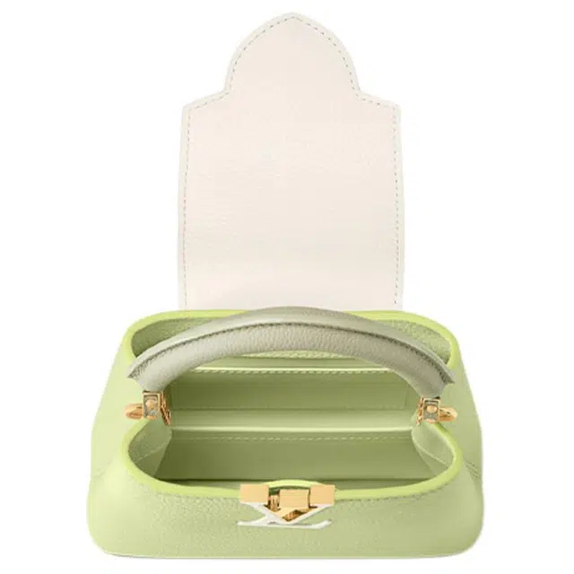 LOUIS VUITTON Capucines Taurillon