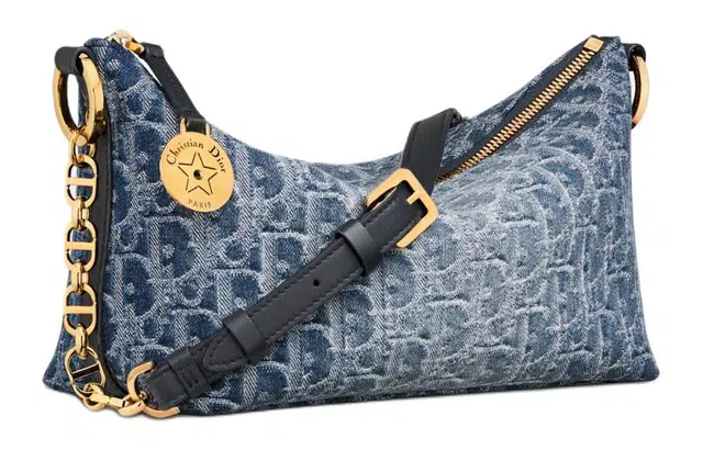 DIOR OBLIQUE Diorstar Hobo