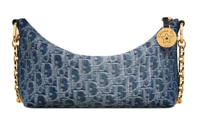 DIOR OBLIQUE Diorstar Hobo