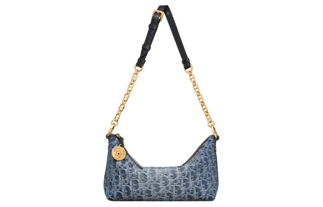 DIOR OBLIQUE Diorstar Hobo