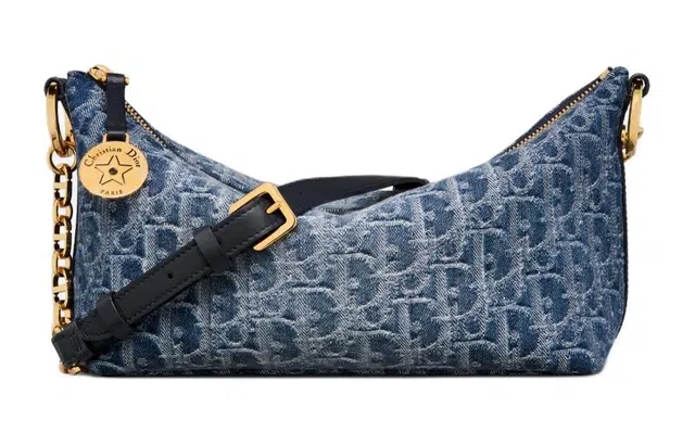 DIOR OBLIQUE Diorstar Hobo