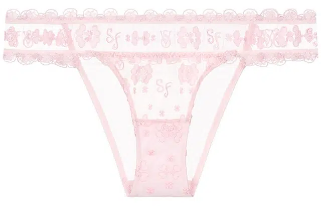 Victoria's Secret x SUSAN FANG SS24 1