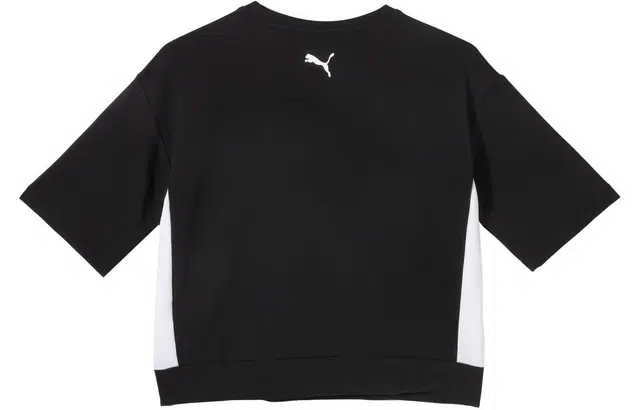PUMA TMODERNSPORTSSWEATTEE logo T