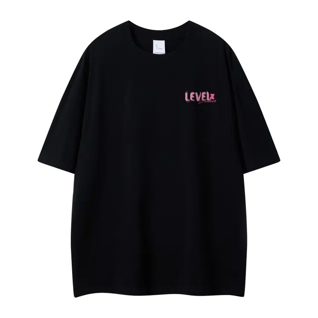 LEVEL T