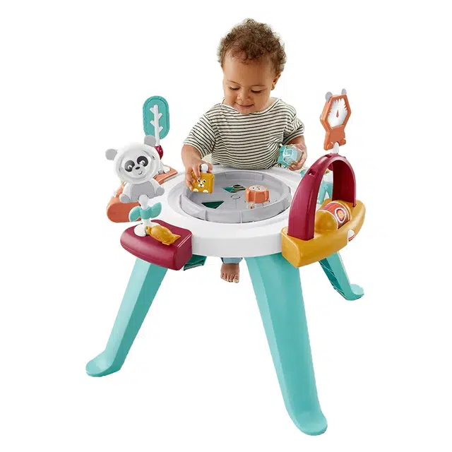 FISHER-PRICE 31