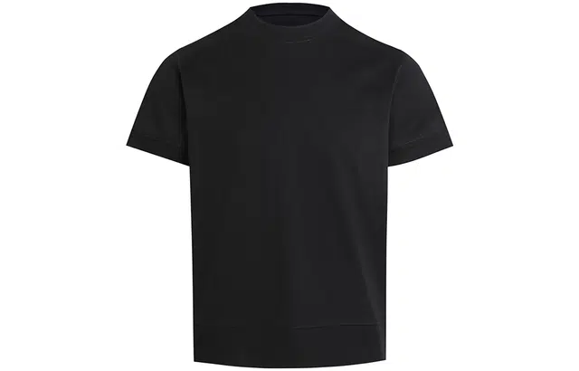 WHISTLEHUNTER T