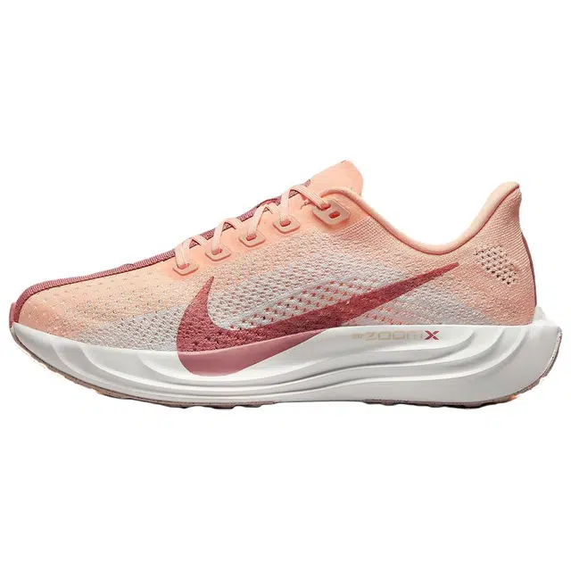 Nike Flex Plus Pegasus Plus