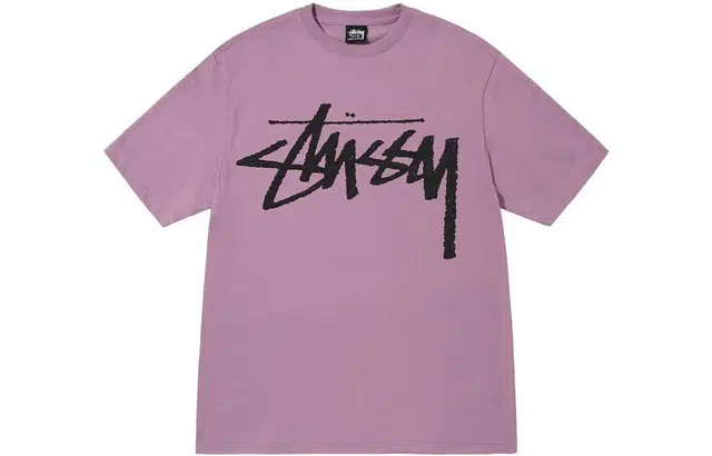 Stussy FW22 Big Stock logoT
