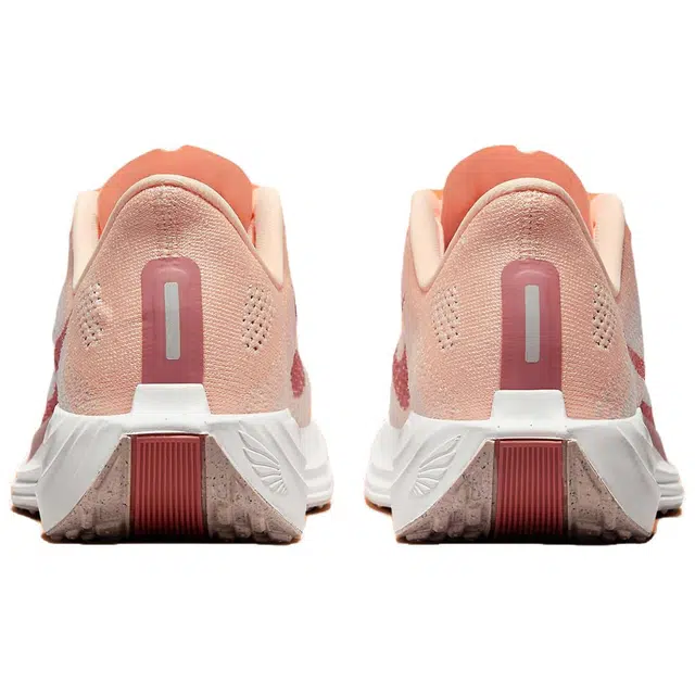 Nike Flex Plus Pegasus Plus