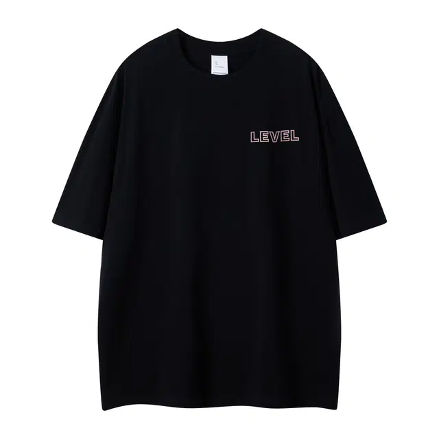 LEVEL T