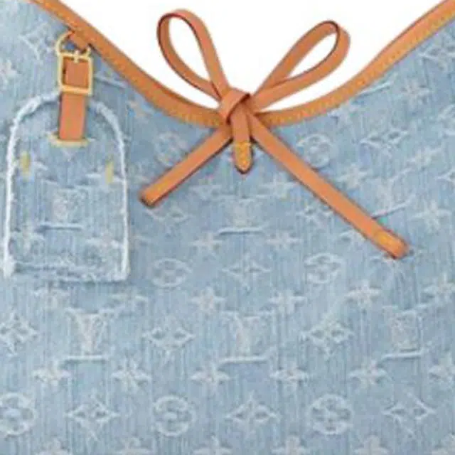 LOUIS VUITTON Carryall Sky Denim PM