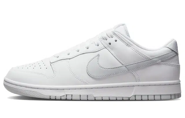 Nike Dunk 520