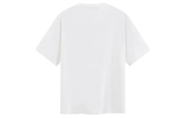 ICONS Lab T