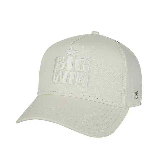 SWOFCARE BIGWIN