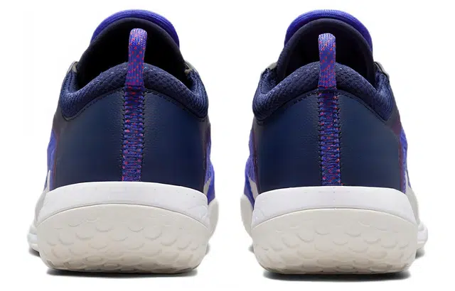 Nike Zoom Court NXT HC