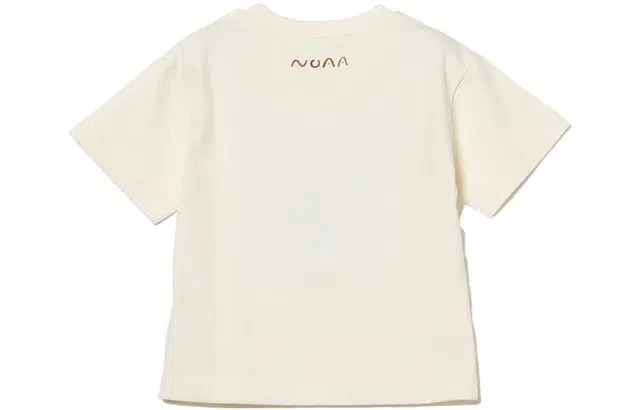 beams T