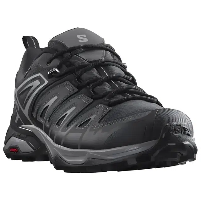 SALOMON X Ultra Pioneer GTX