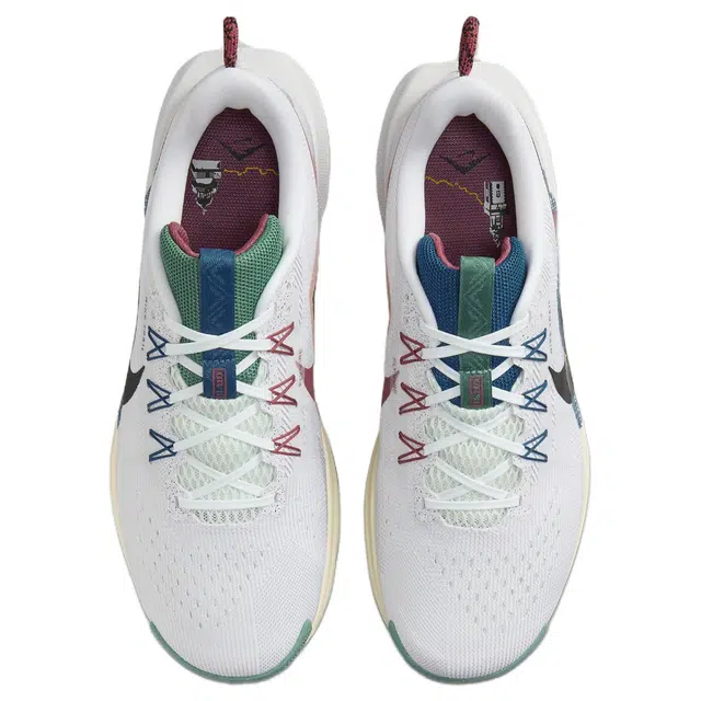 Nike Pegasus Trail 5