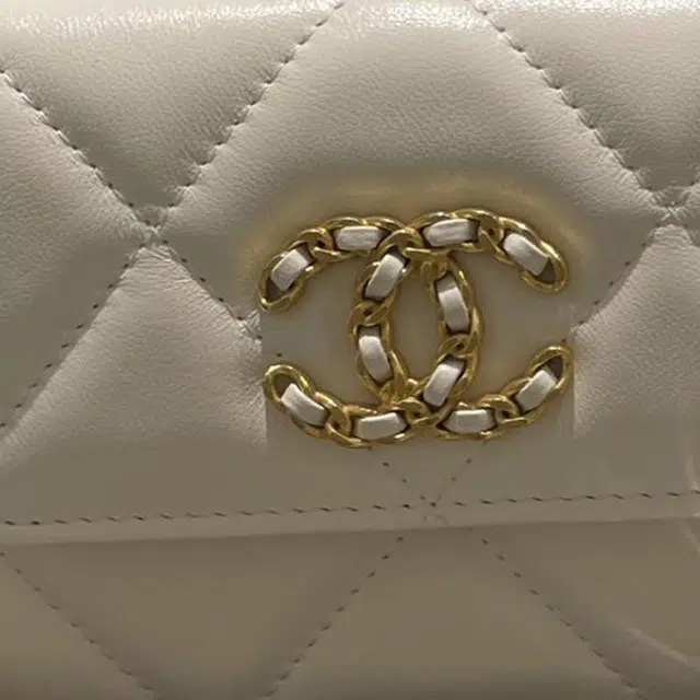 CHANEL 19Bag