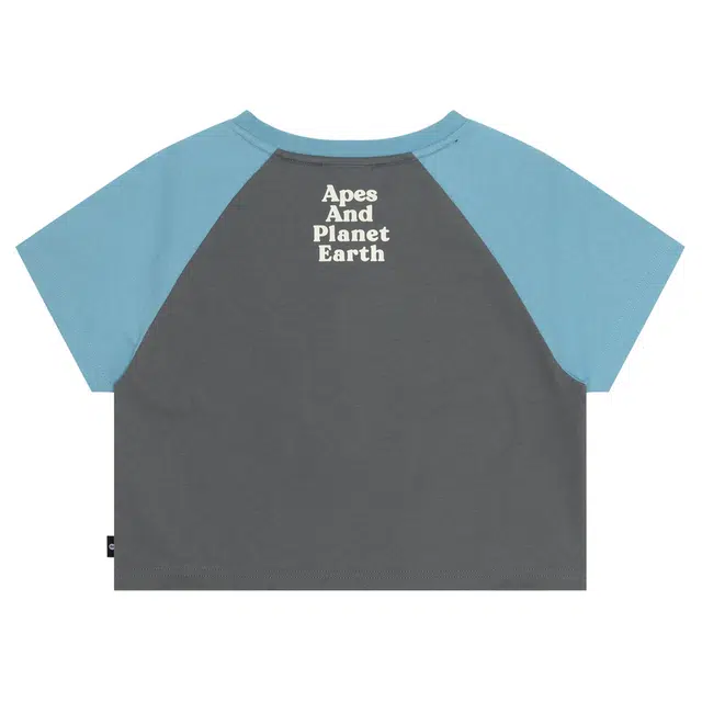 Aape T