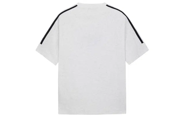 ICONS Lab T