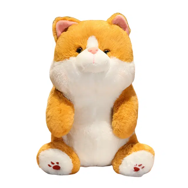 25cm35cm45cm