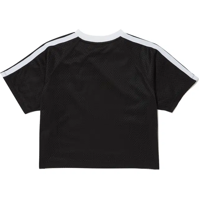 Champion T