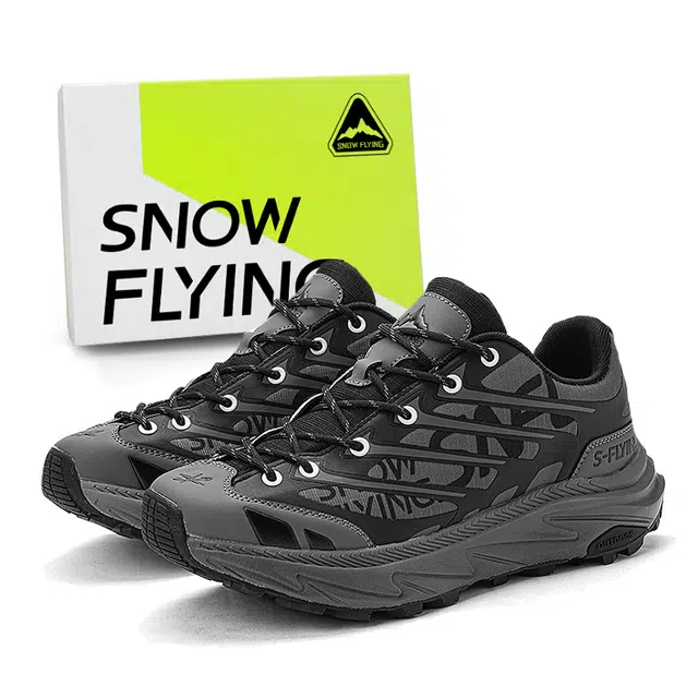 SNOW FLYING