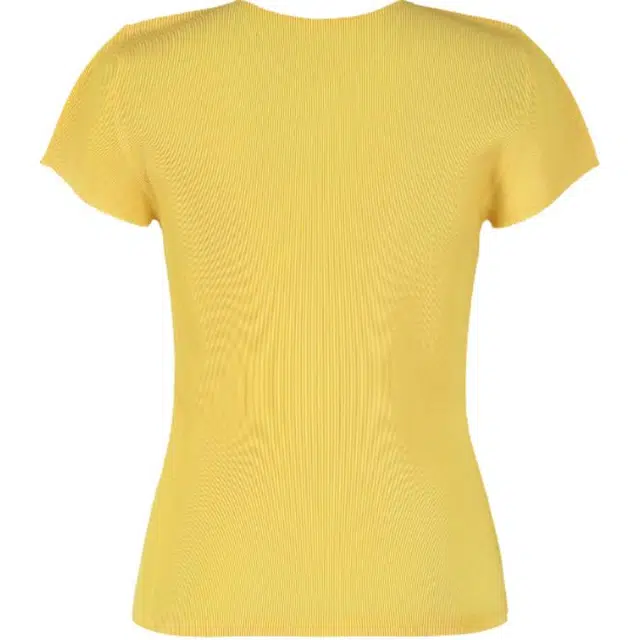 PLEATS PLEASE ISSEY MIYAKE T
