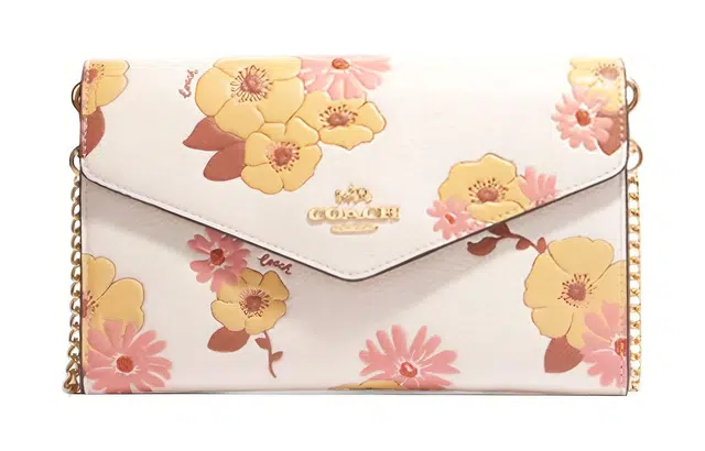 COACH Envelope 21