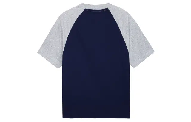 ICONS Lab T
