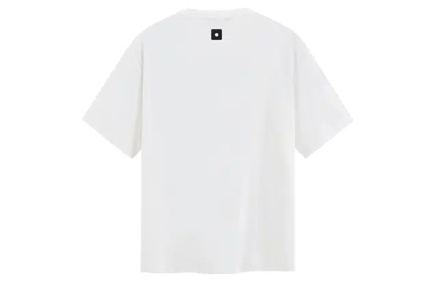 ICONS Lab T